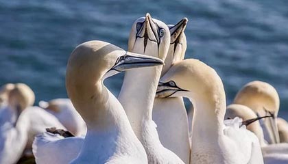 比特币合约是什么意思？