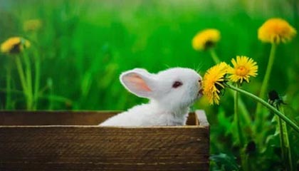 数字货币是什么东西？对我们普通人有何影响？